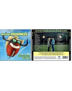 Necessary Roughness