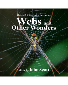 Webs And Other Wonders