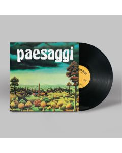 Paesaggi