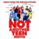 NOT ANOTHER TEEN MOVIE